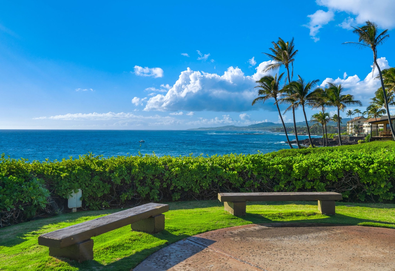 The property features a tranquil oceanfront seating area with stunning tropical views, swaying palms, and manicured lawns leading to turquoise waters.