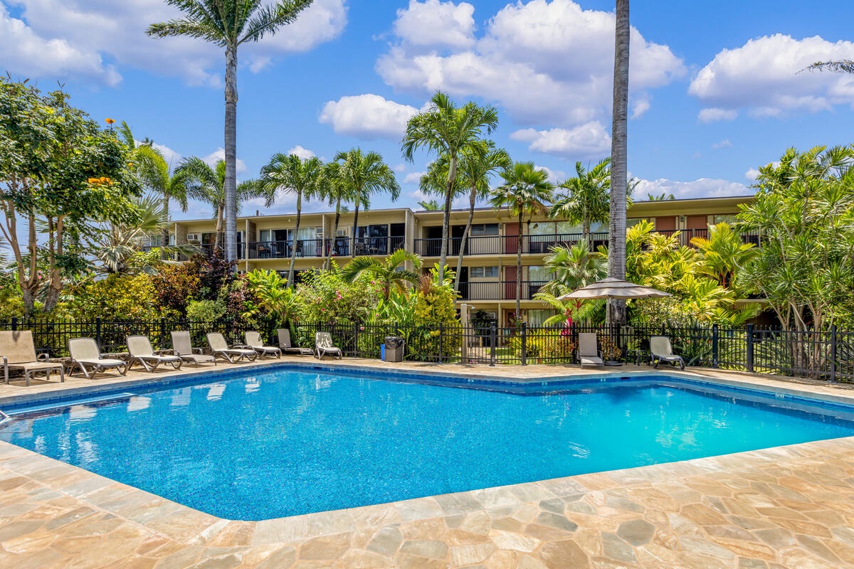 Tropical resort pool area featuring crystal-clear water surrounded by palm trees and comfortable loungers under sunny skies.