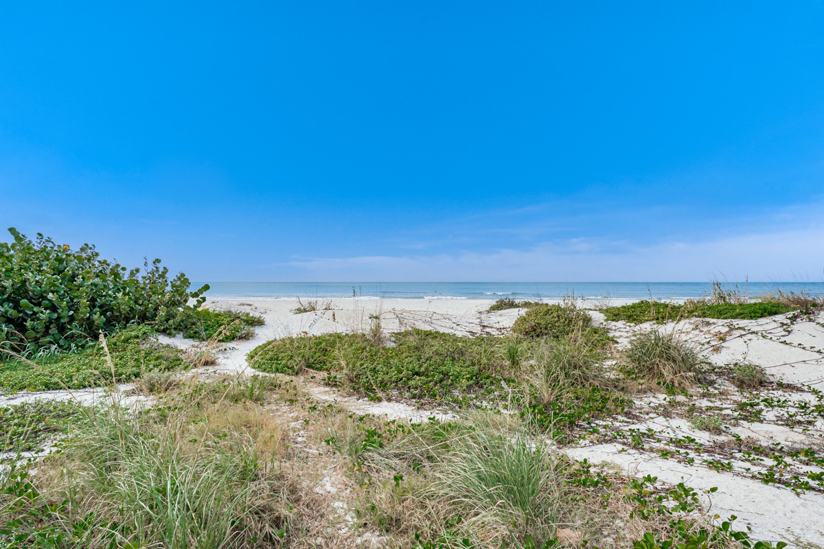Pristine coastal landscape with native dune vegetation leading to white sand beaches and turquoise waters under clear blue skies.