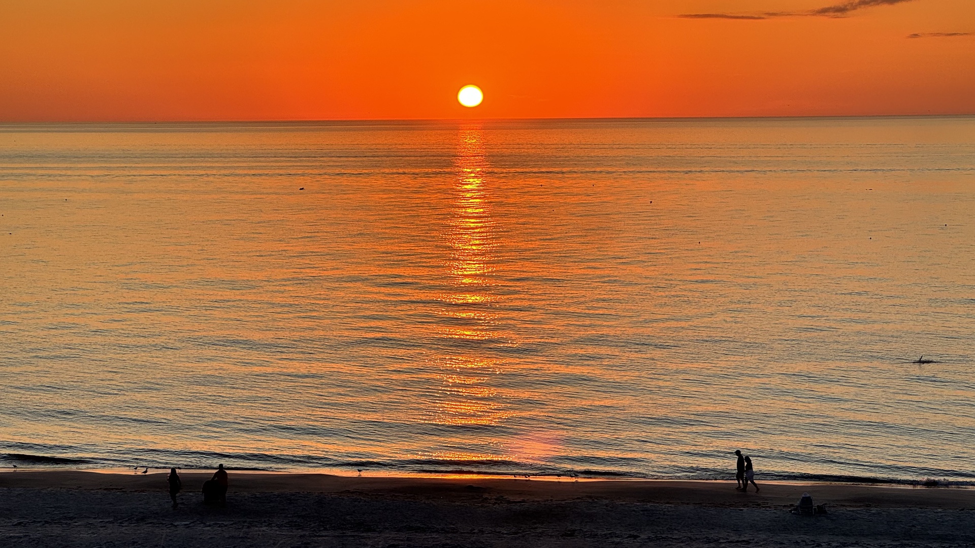 Golden sunset paints the ocean horizon as gentle waves meet the sandy shoreline in this peaceful coastal setting.