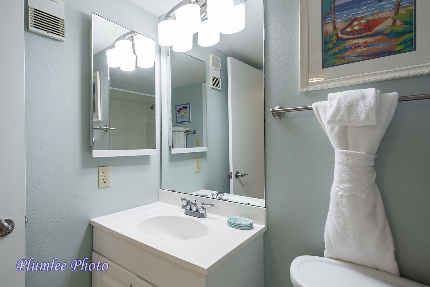 The vanity and sink area of the Hallway Bathroom.