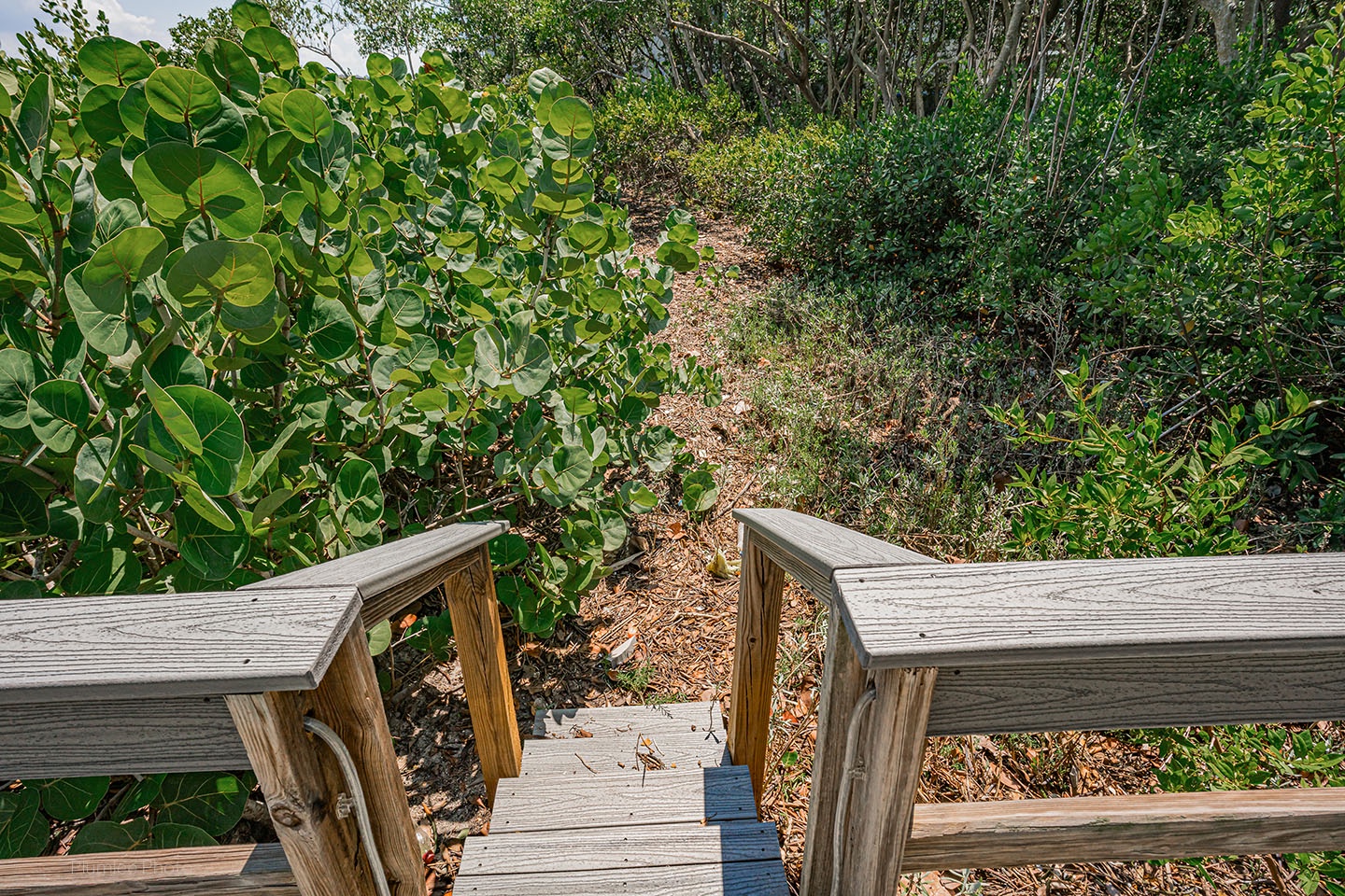 A few steps down to get to the docks