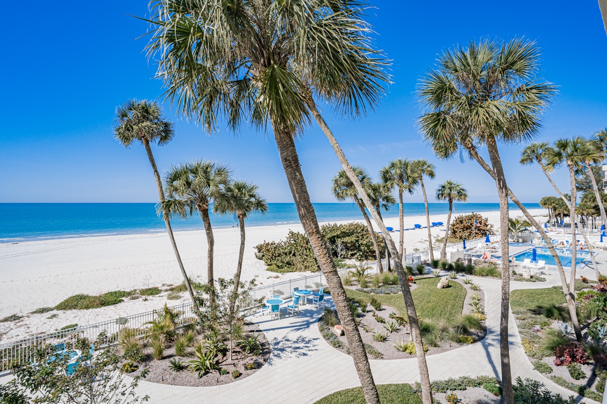 A pristine beachfront setting with swaying palm trees, white sand, and turquoise waters stretching to the horizon—your perfect coastal escape awaits.