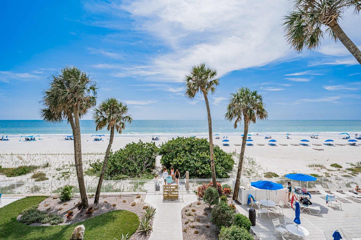 White sandy shores and swaying palms frame a classic beachfront setting where you can unwind just steps from the water.