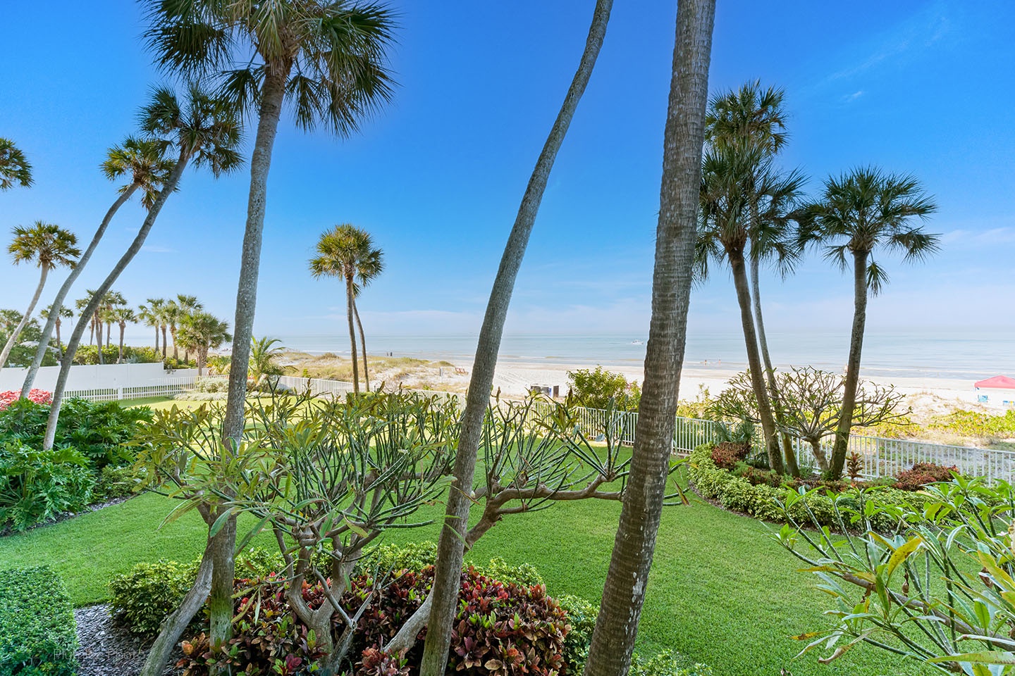 Tropical landscaping