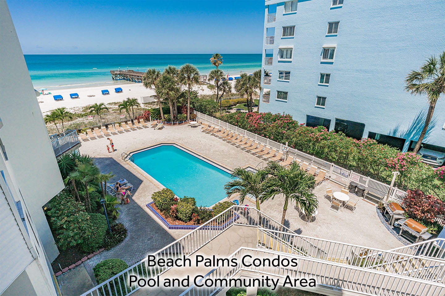 Beach Palms Pool_09-10-24