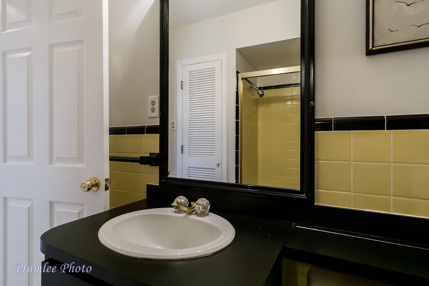 The sink has a nice big mirror.