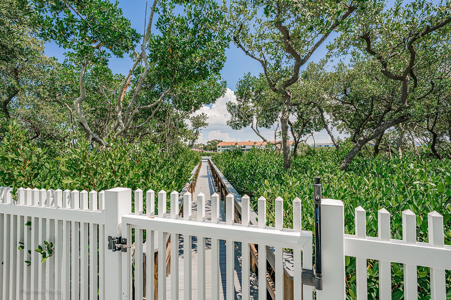 Walkway down to the docks