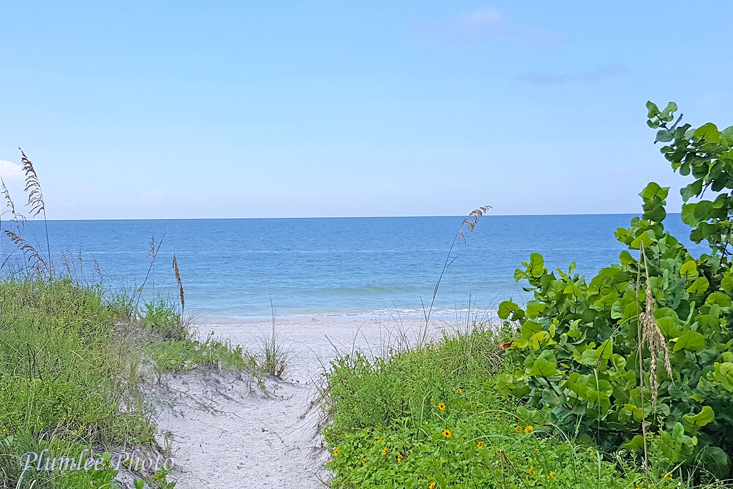 The path to the beach.