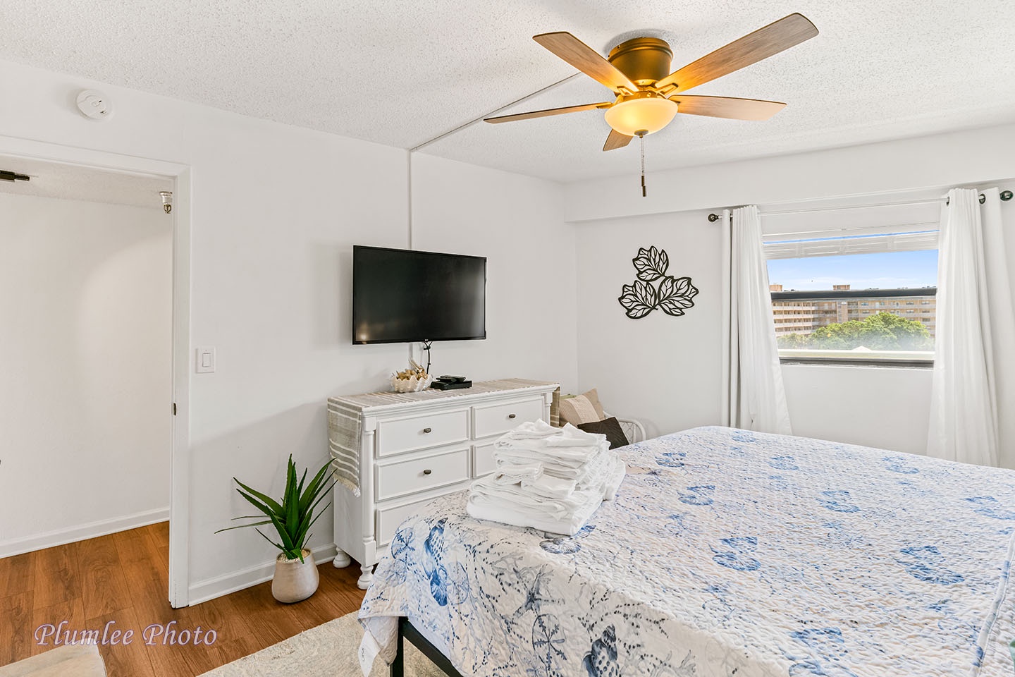 Mounted smart TV and ceiling fan