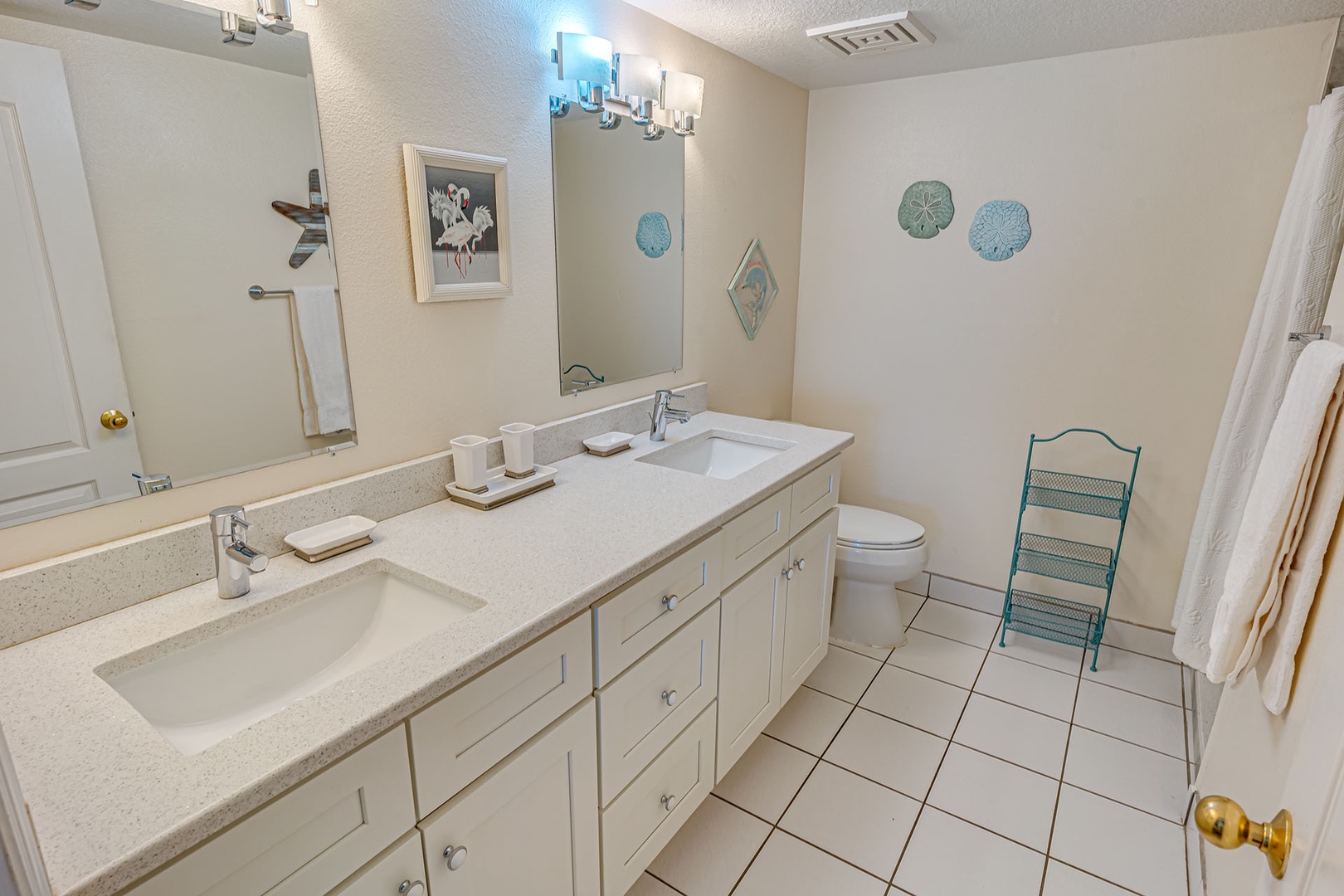 DCS08943_web size