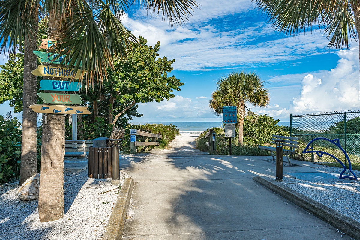 Tropical beach access with palm-lined path leading to pristine sandy shores under brilliant blue skies.