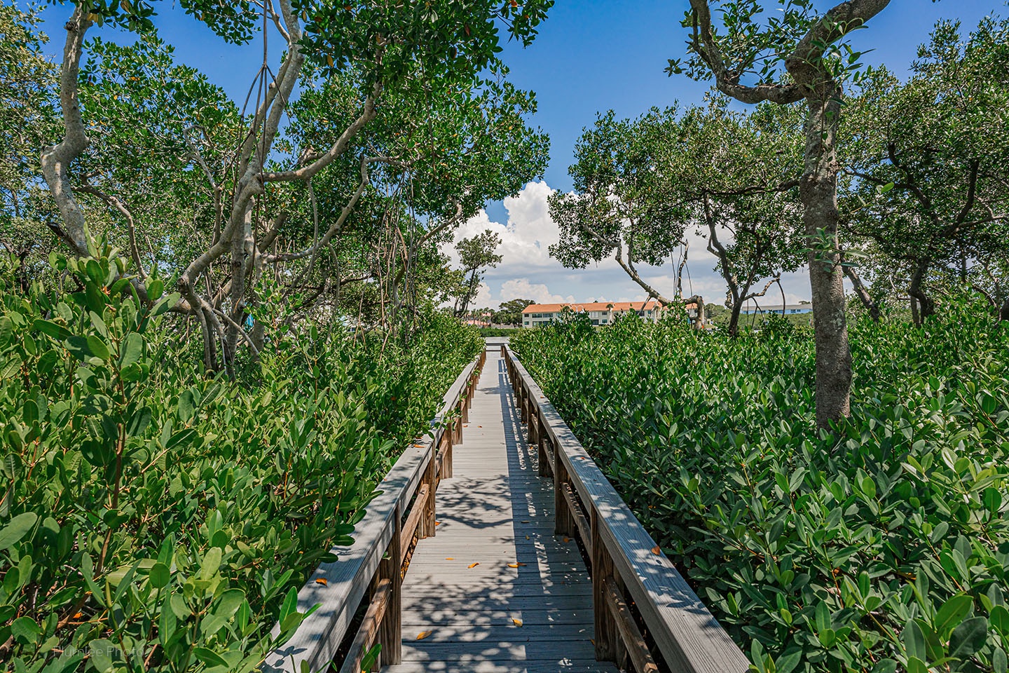 Walkway to dock