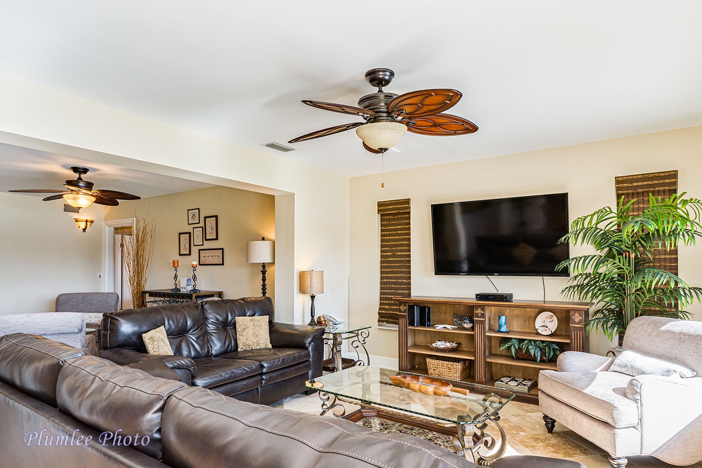 Large mounted TV and ceiling fan