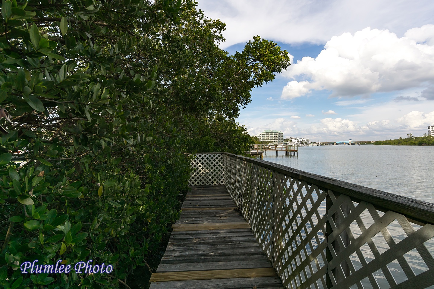 The Dock leads to a walkway to Downtown Indian Rocks Beach.