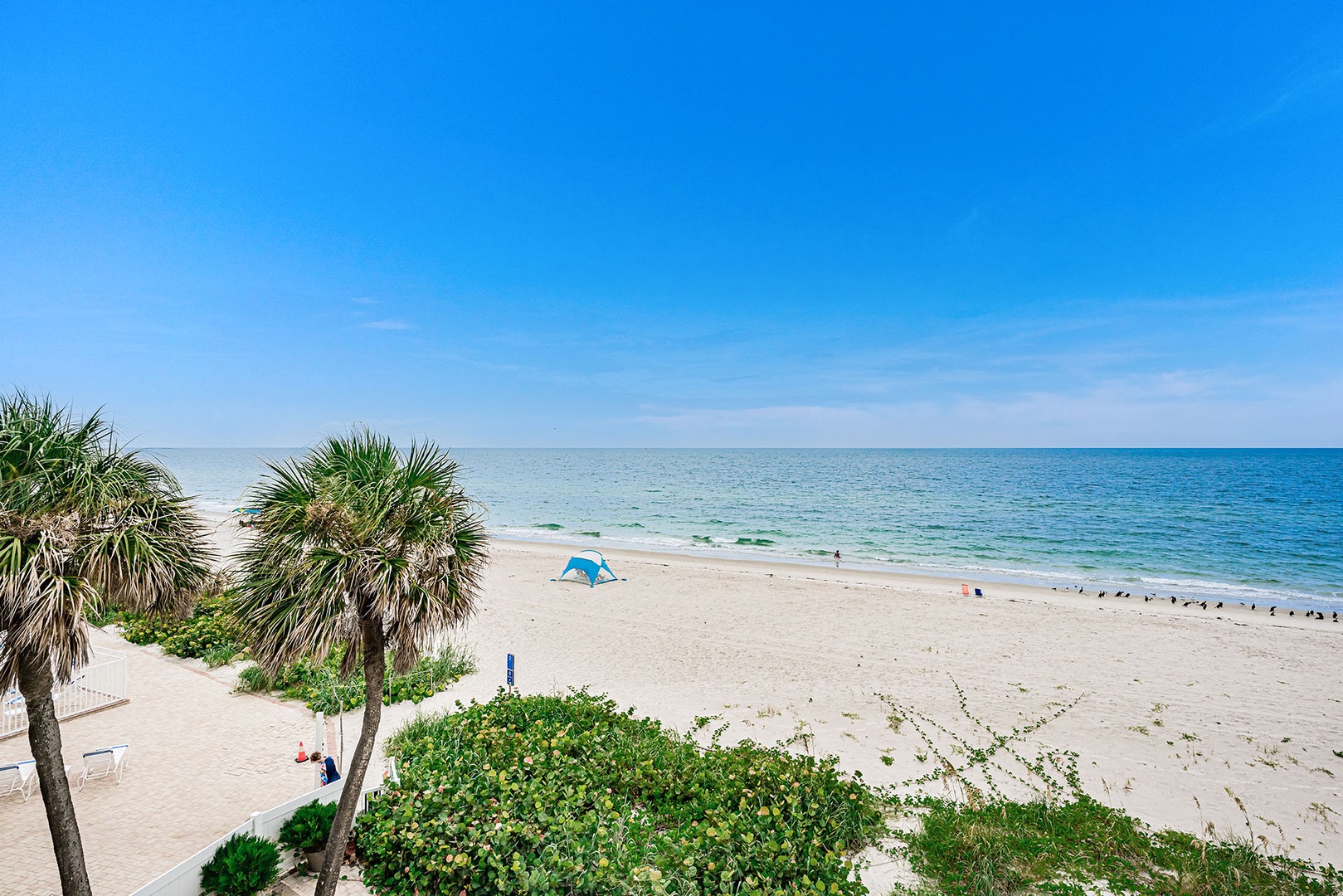 Belleair Beach Baby!