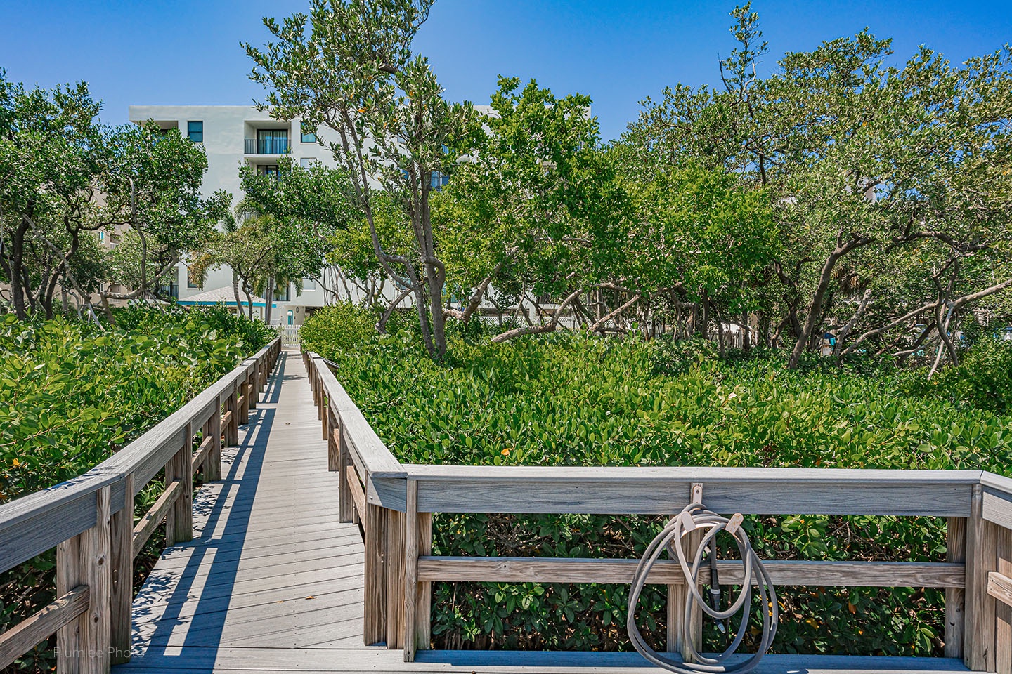 Enjoy nature on the Intracoastal