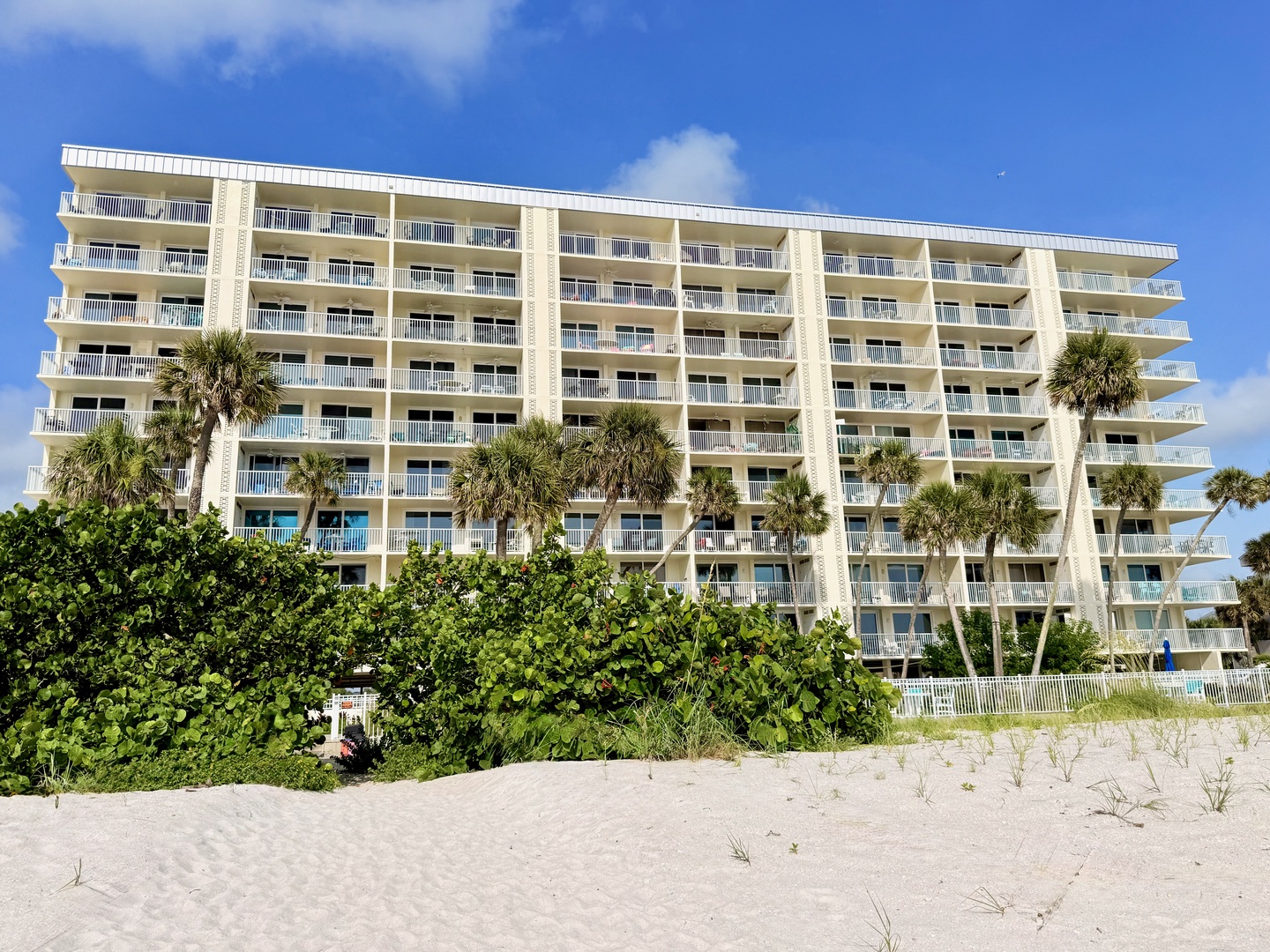 A beachfront property framed by swaying palms and lush greenery, just steps from the sandy shore and clear blue skies.