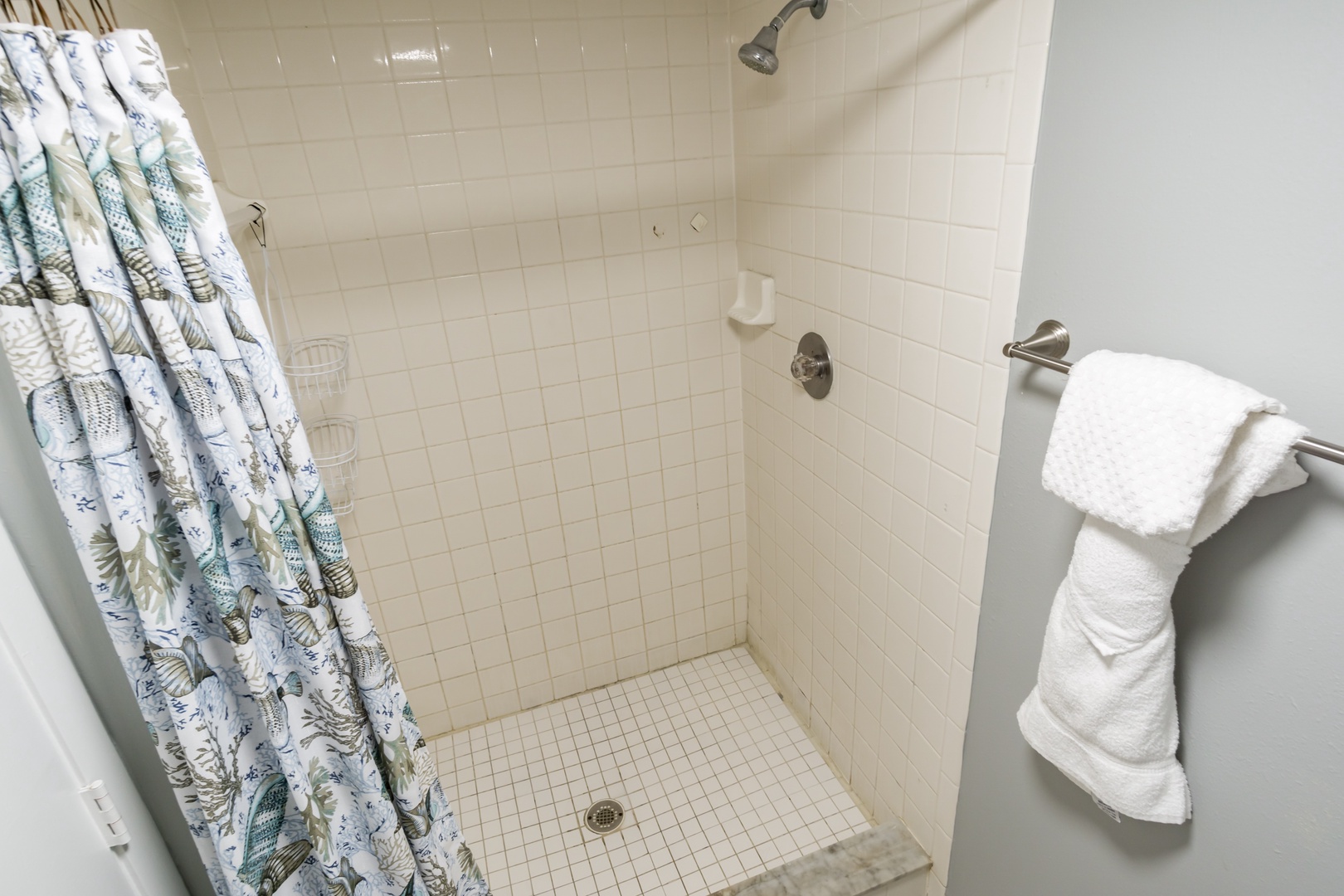 The Master Bathroom has a step-in shower.