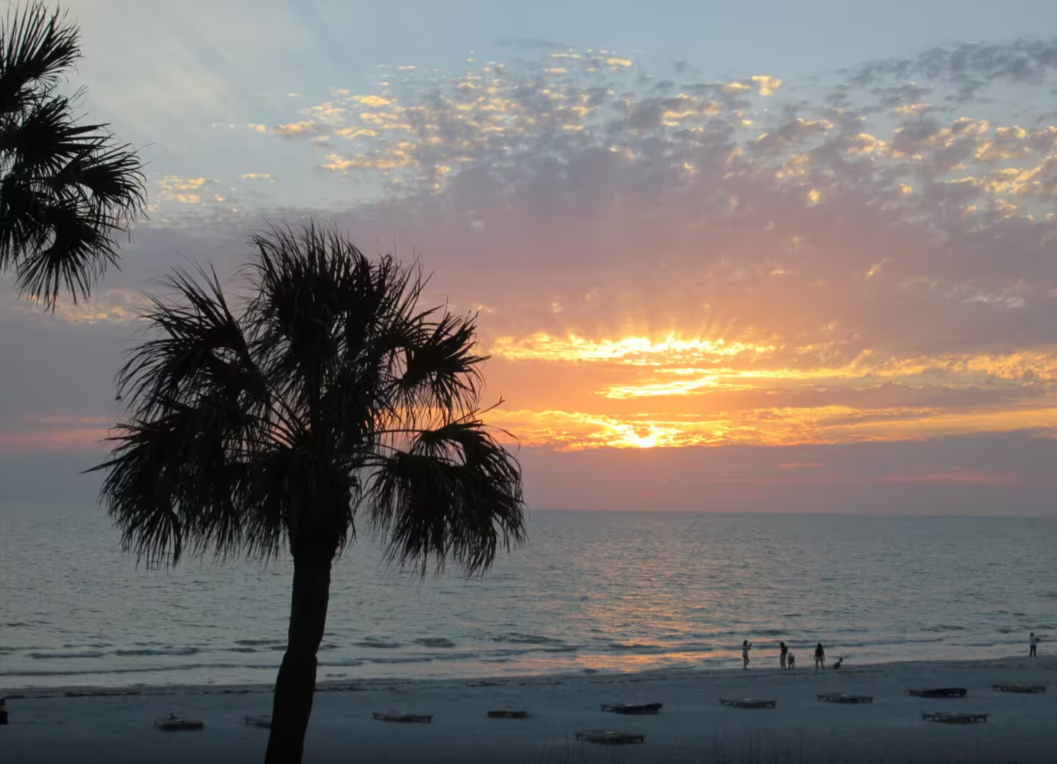 Beachfront location with stunning sunset views over the water, framed by swaying palm trees and pristine sandy shores.