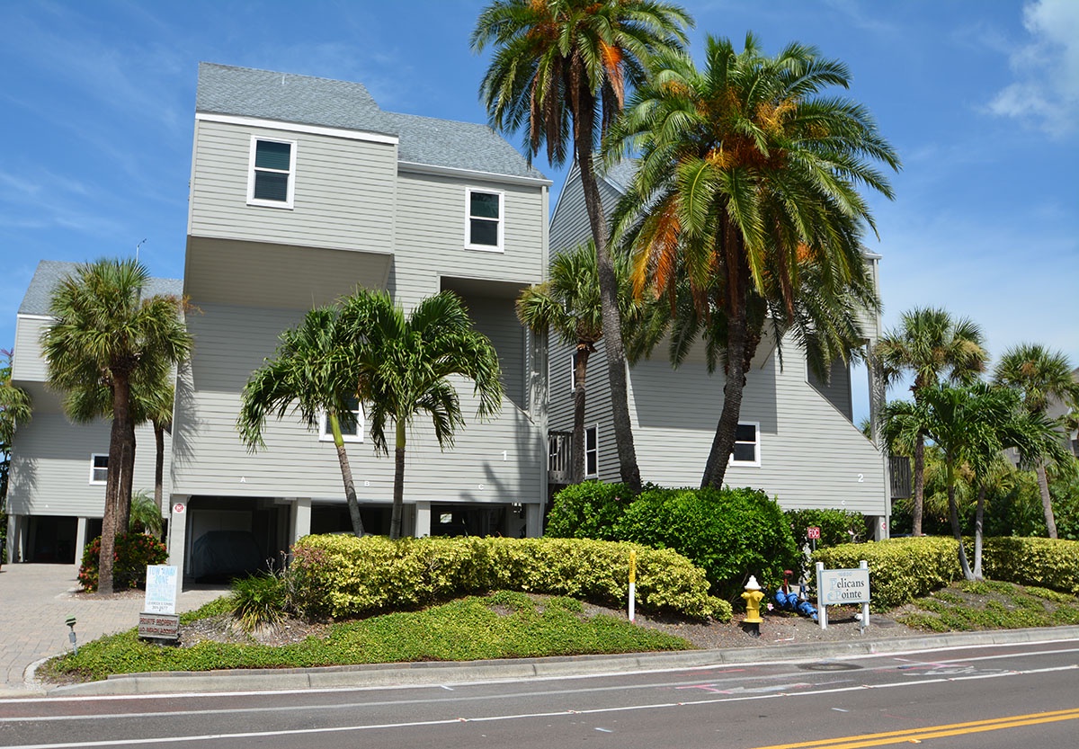 DSC_3264_edited-1_web size