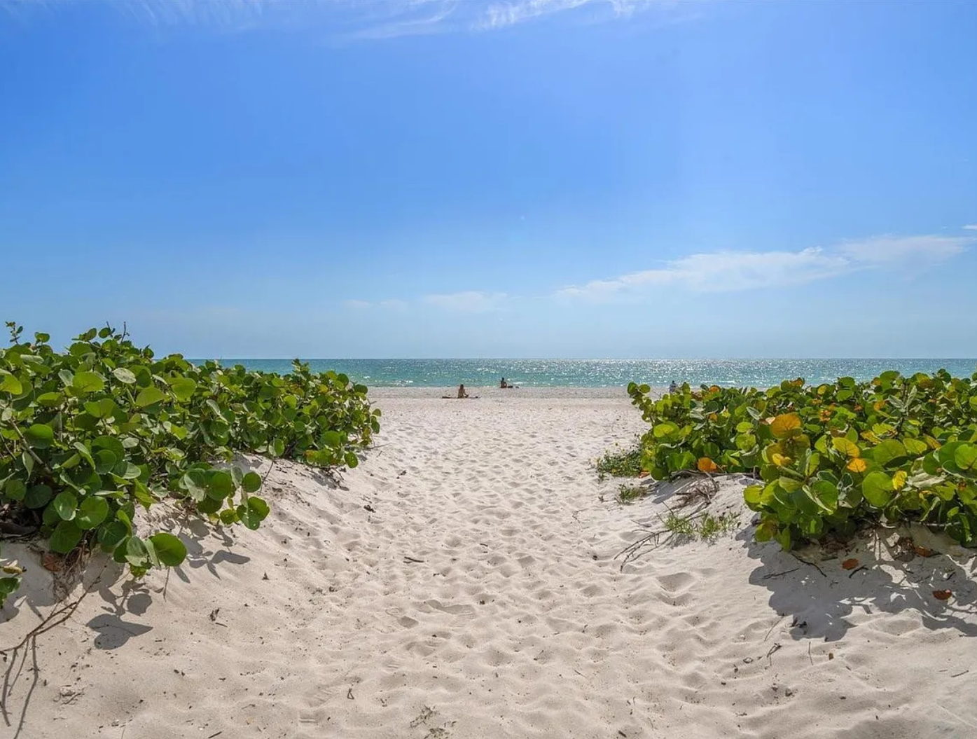 Sandy beach pathway leads through tropical vegetation to pristine shoreline with crystal-clear waters and endless ocean views.