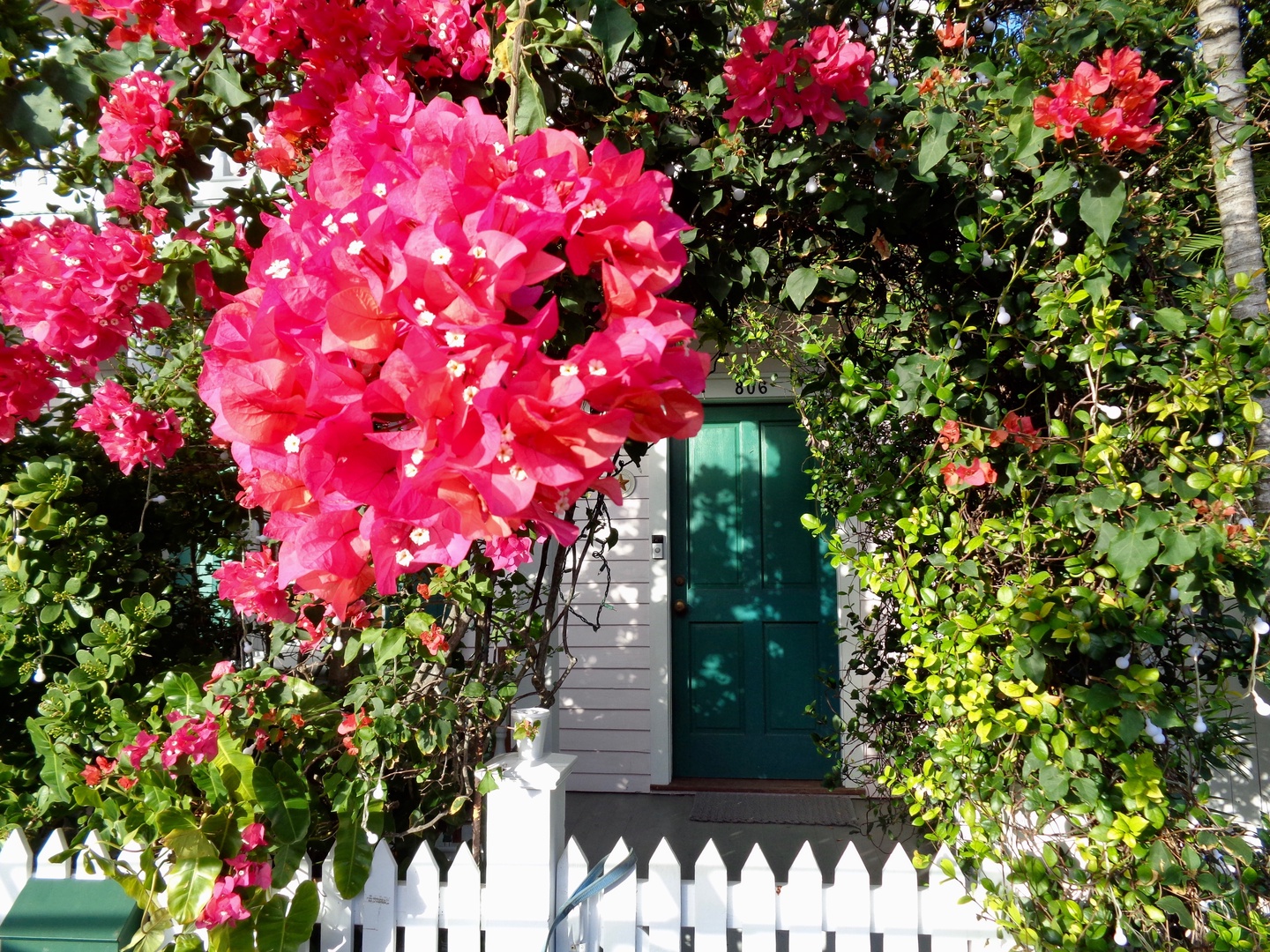 Entrance to Ashe Splash Key West