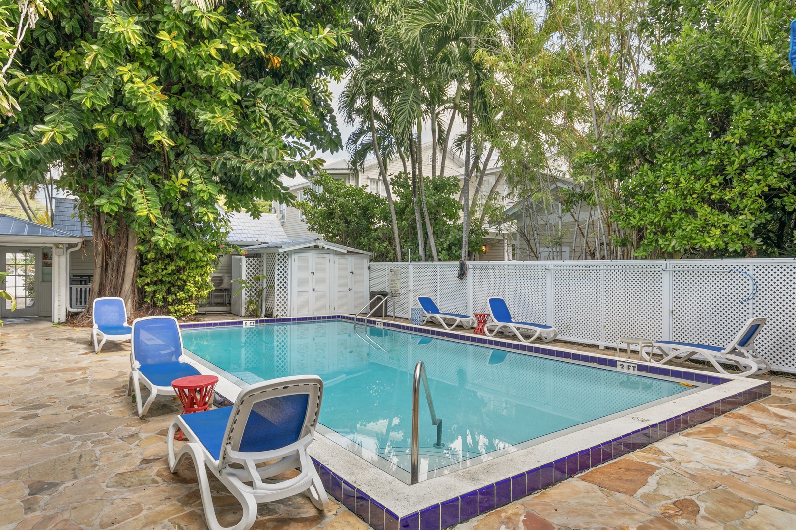 The property features a sparkling shared pool surrounded by tropical palms and comfortable loungers, offering a peaceful retreat under warm sunlight.