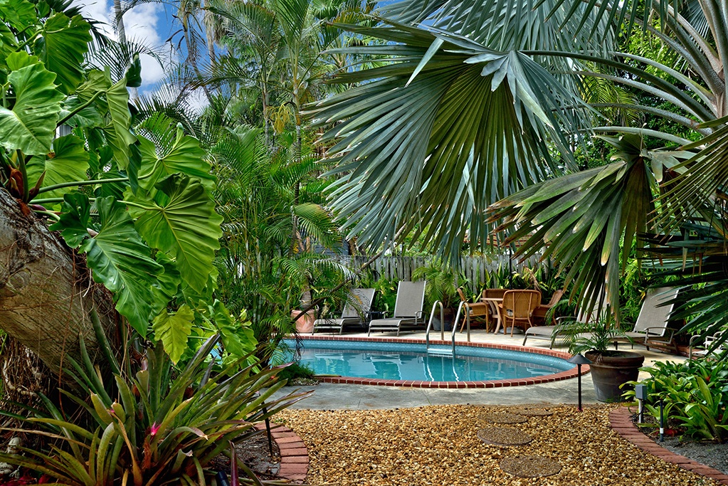 Shared pool Ann Street Namaste Key West