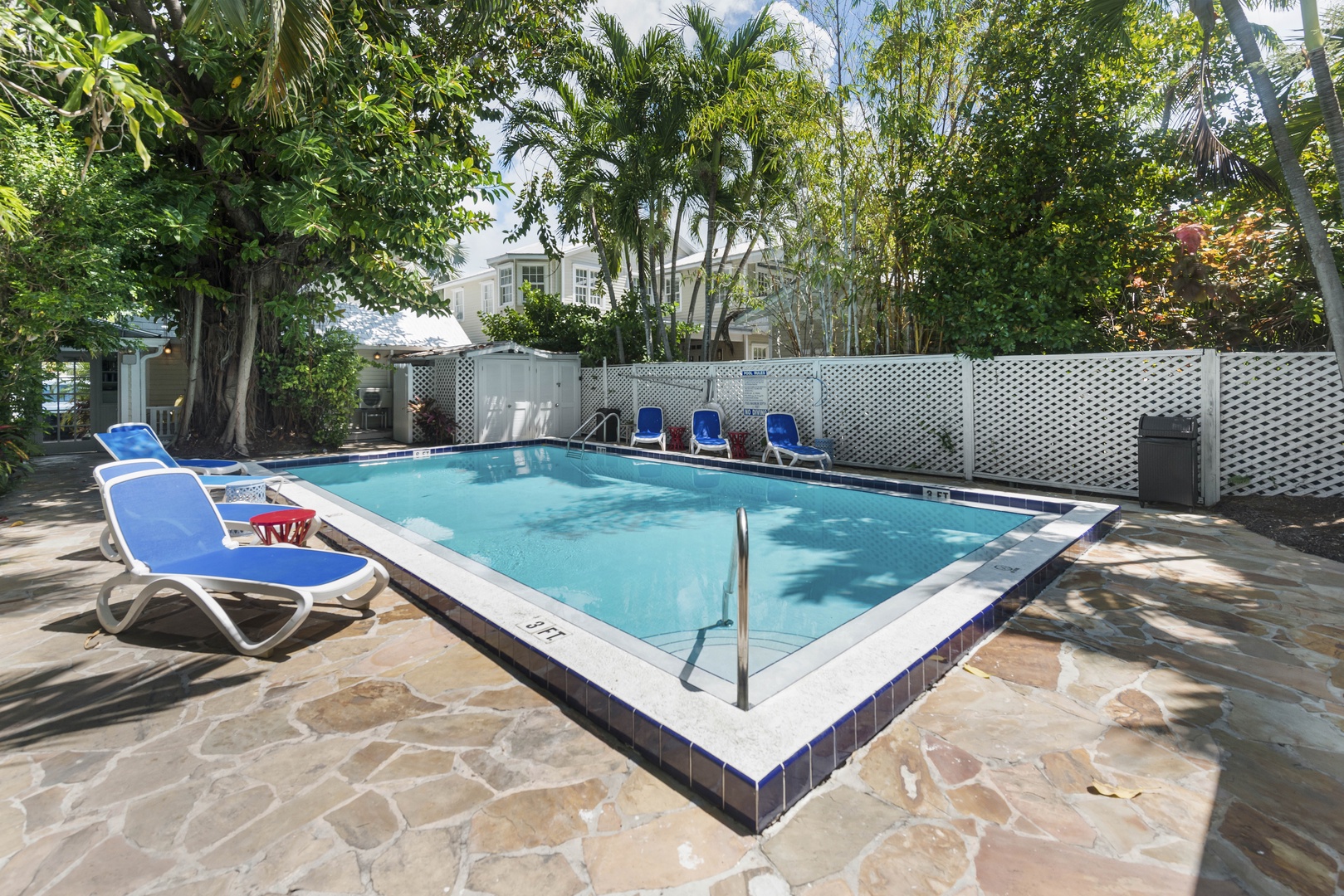 Shared Pool at Colony Calypso #4 Key West