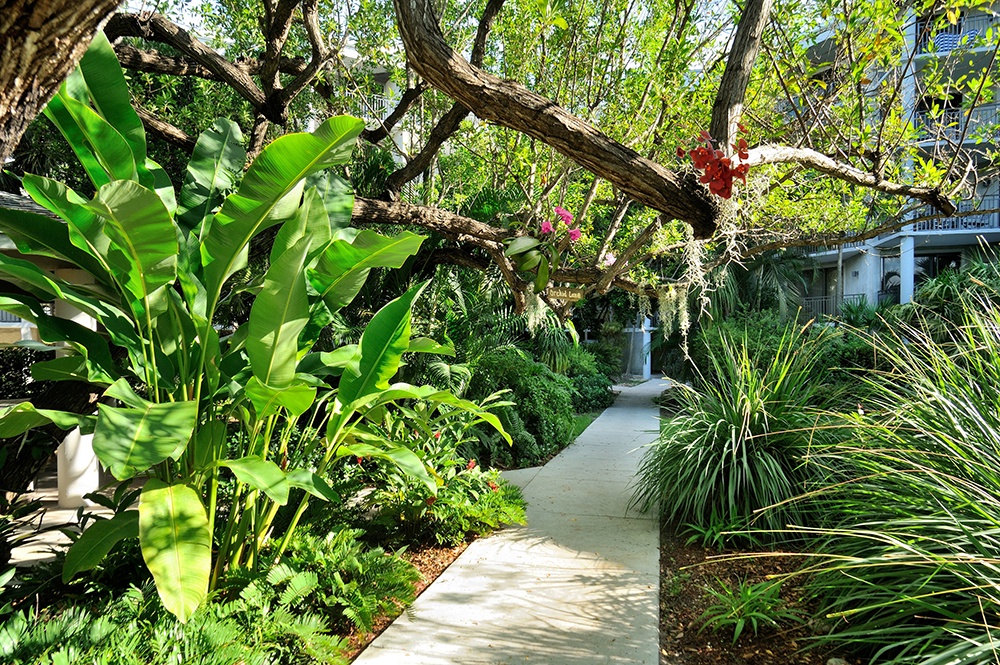 common area walkway Vista Fresco at 1800 Atlantic Key West