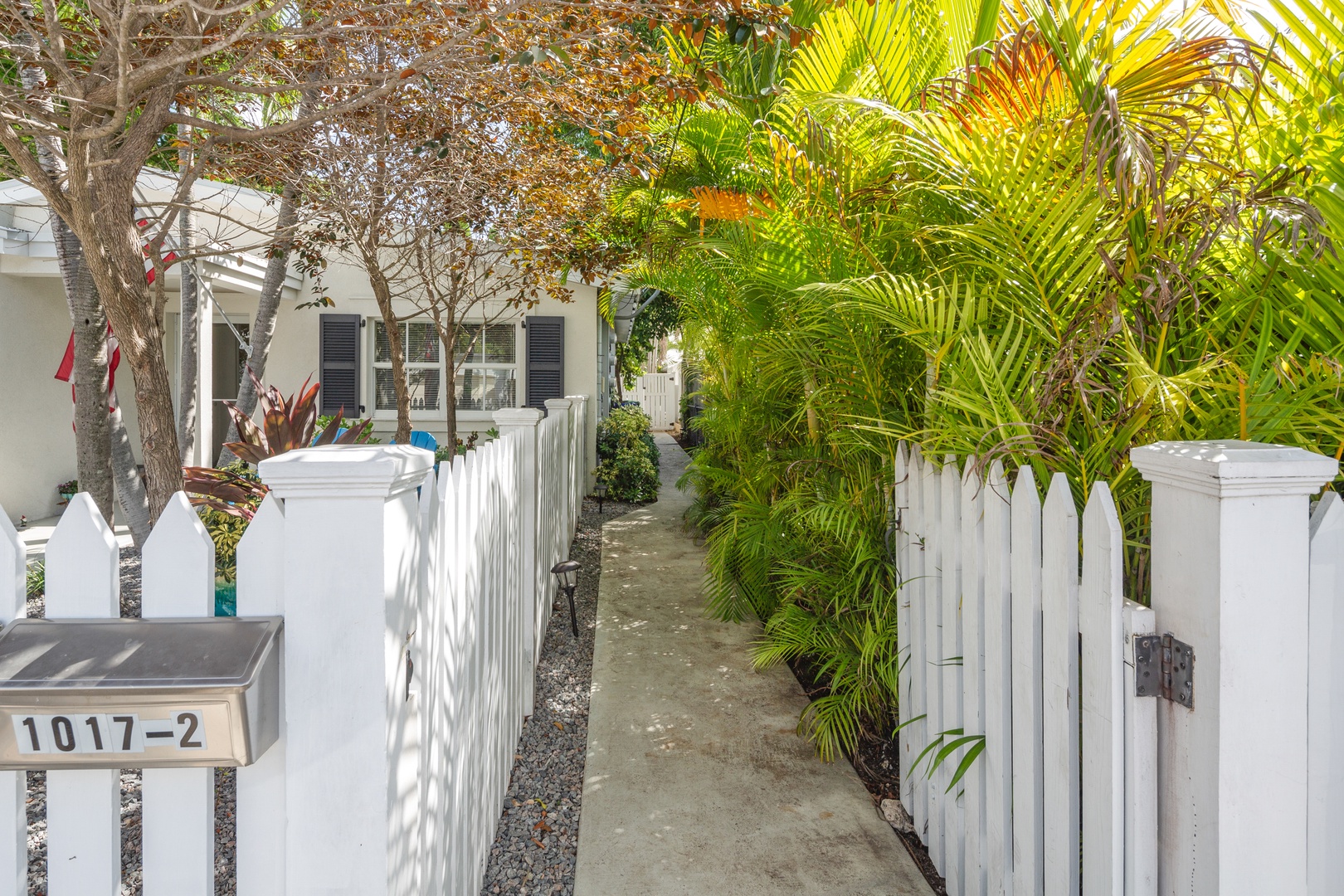 Pathway leading to A Windsong Delight