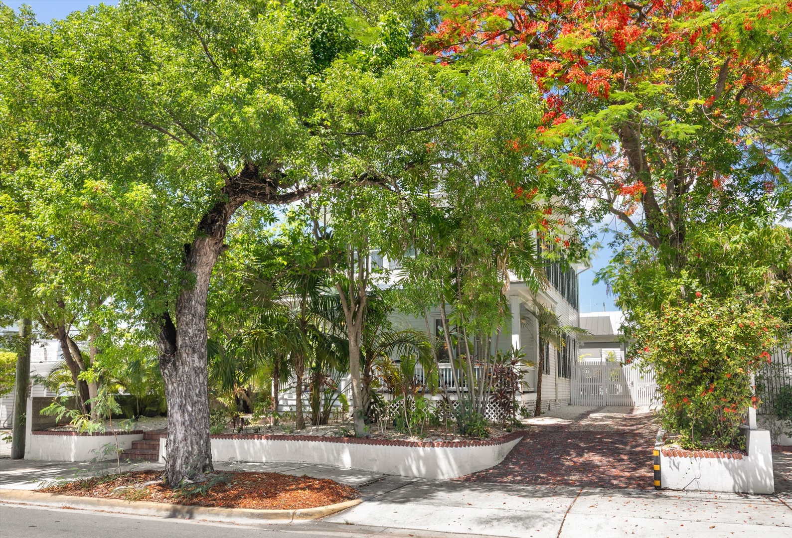 Lush tropical greenery leading to private front entrance.
