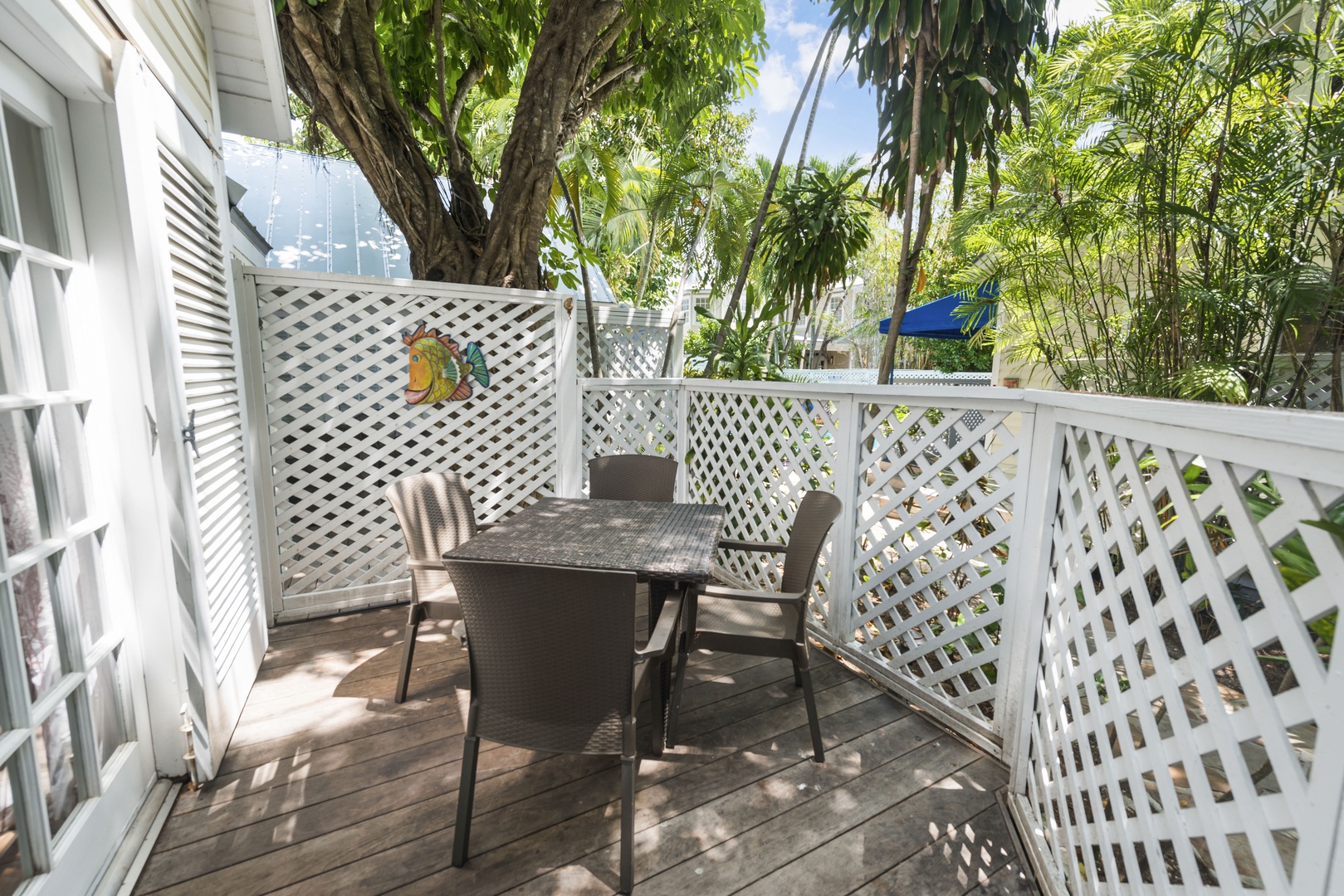 Back Deck