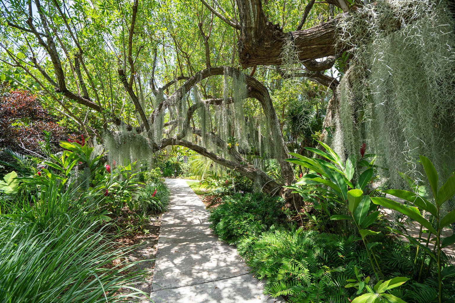 Common Area Walkway Key West's Crown Jewel at 1800 Atlantic