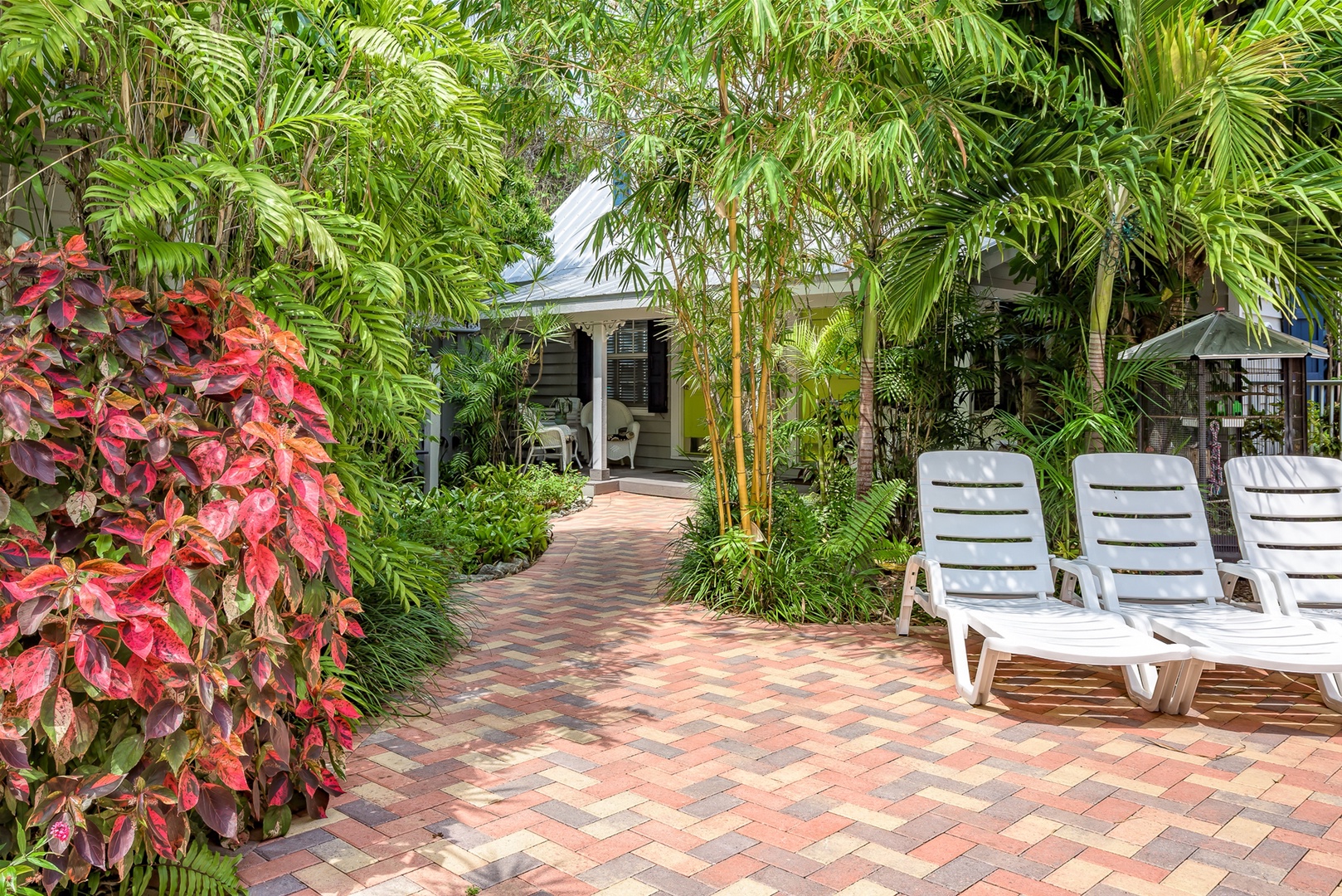 Esperanza Suite