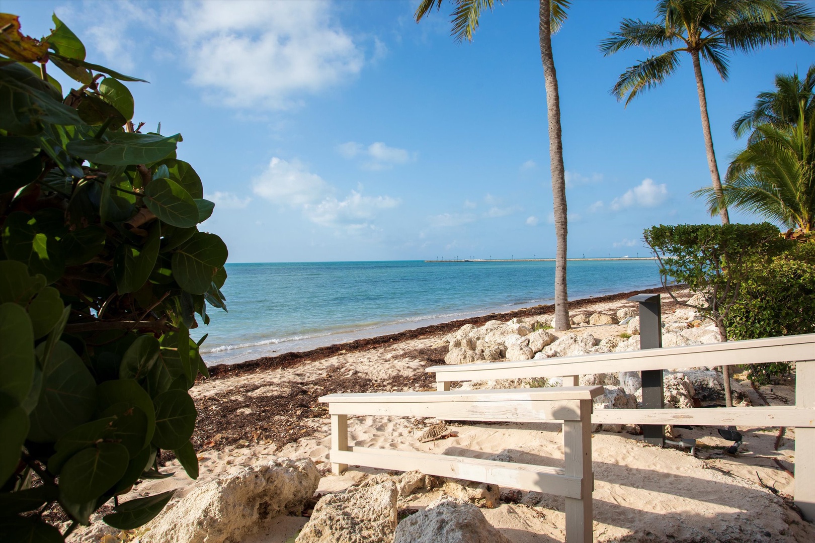 Beach Club oceanfront view