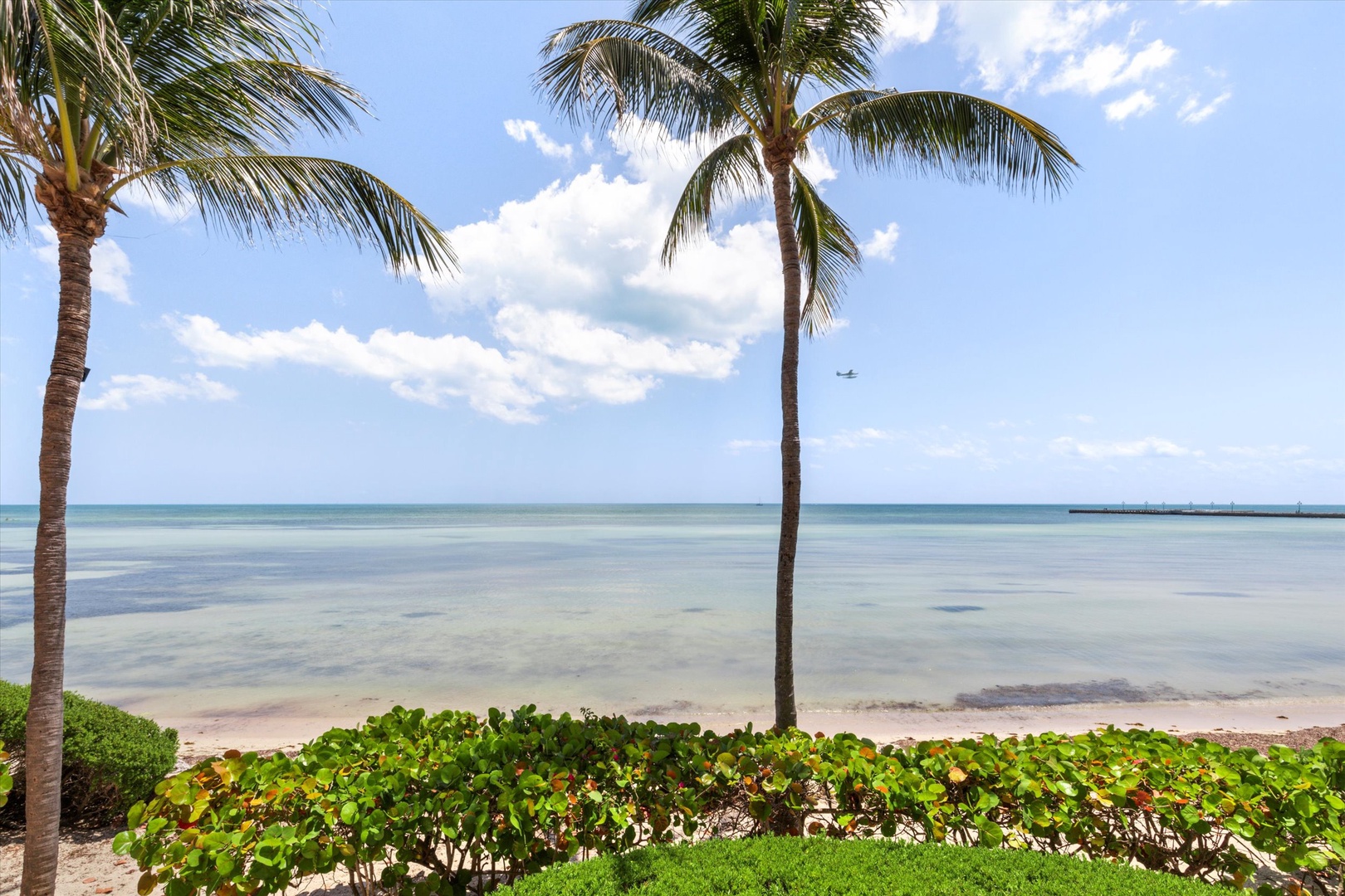 Oceanfront view