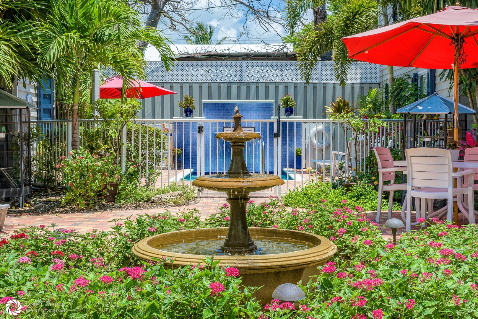 Water Feature in Shared Courtyard