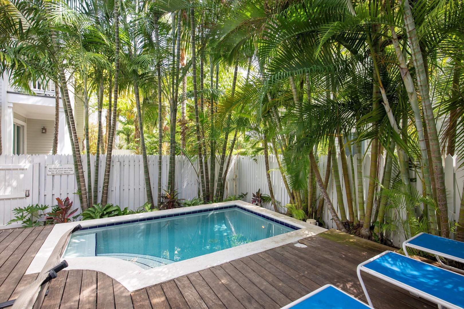 Heated pool