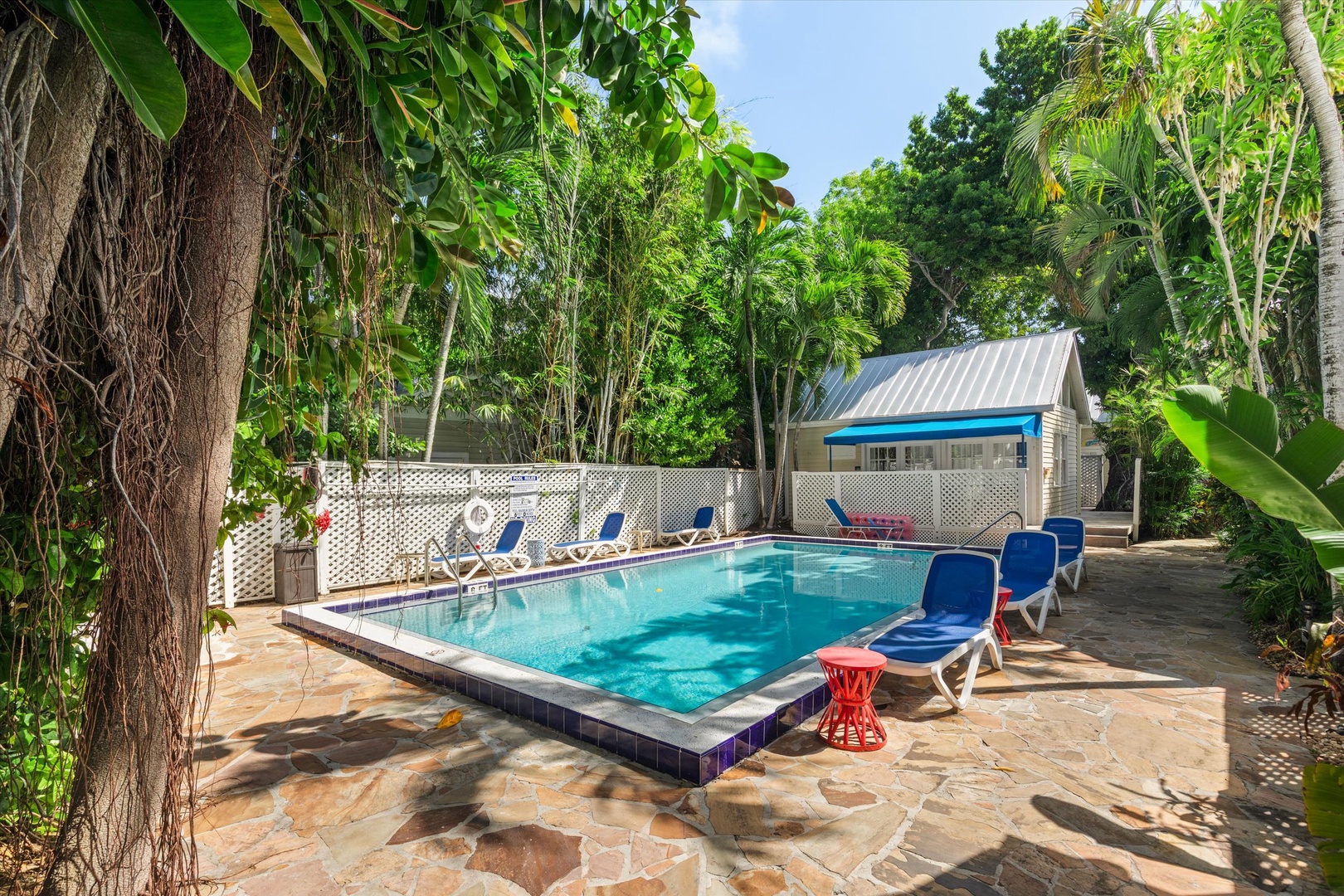Step into your own tropical retreat. Lush greenery surrounds your private pool, where sun-drenched loungers invite lazy afternoons. Towering palms and vibrant foliage create a secluded oasis, perfect for cooling off in style.