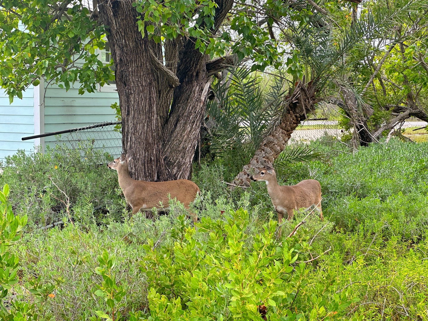 IMG_5693