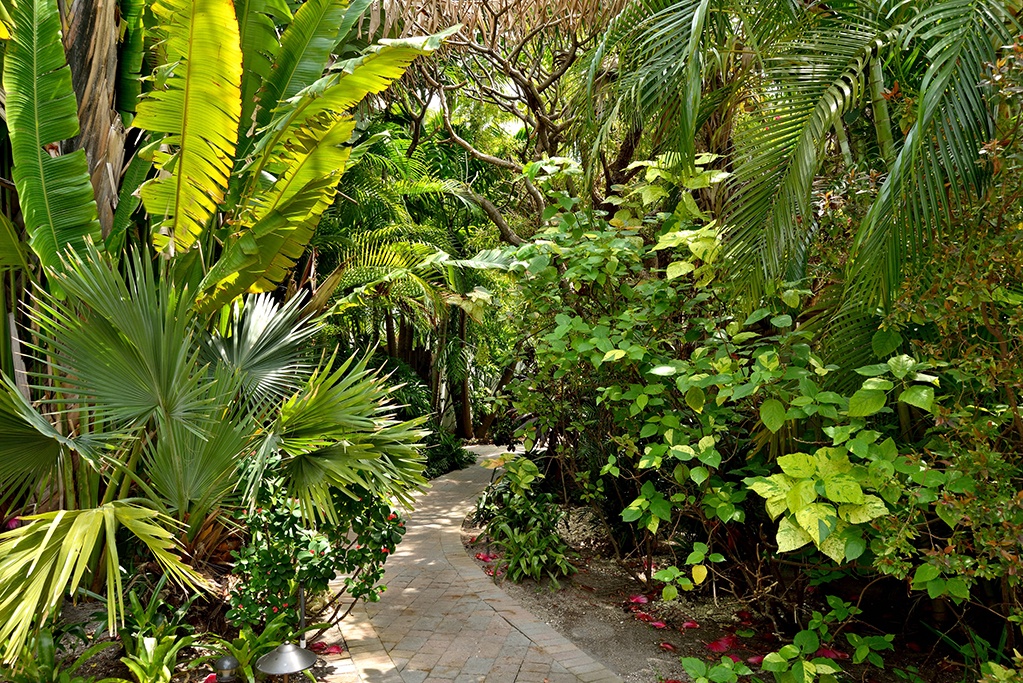 lush tropical vegetation Ann Street Namaste Key West
