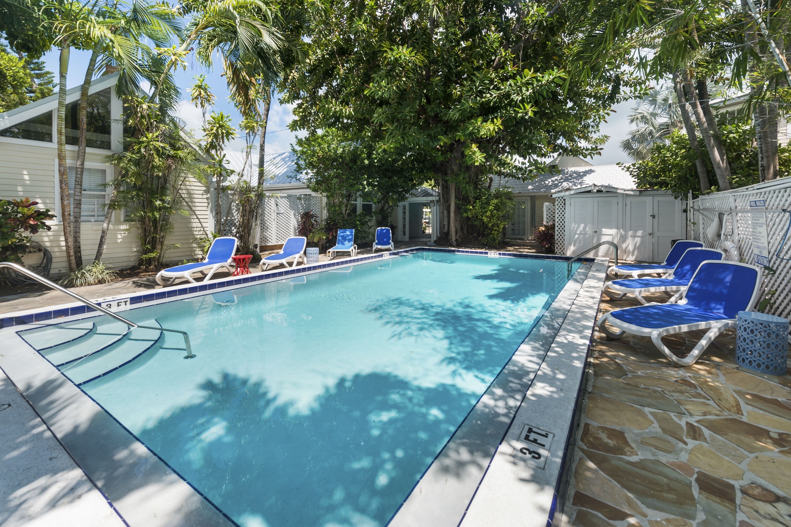 Common Area Pool at Colony Calypso #4 Key West