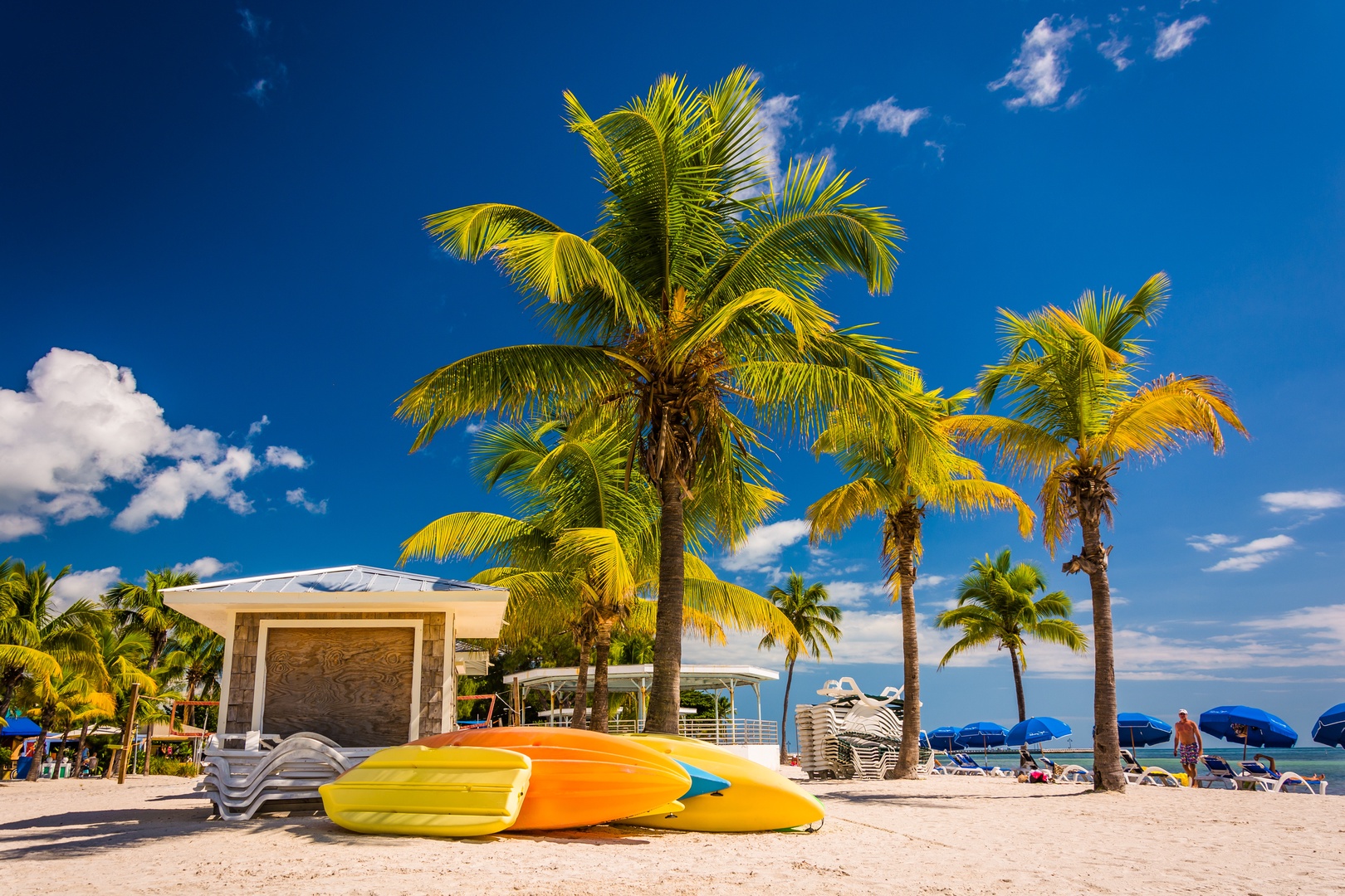 A private beachfront pavilion with swaying palms, colorful kayaks on the sand, and lounge chairs lining the shore—your perfect tropical escape awaits.