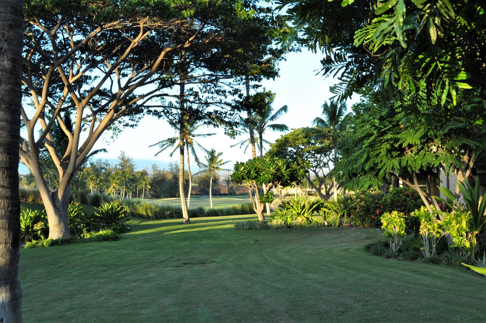 Common Area