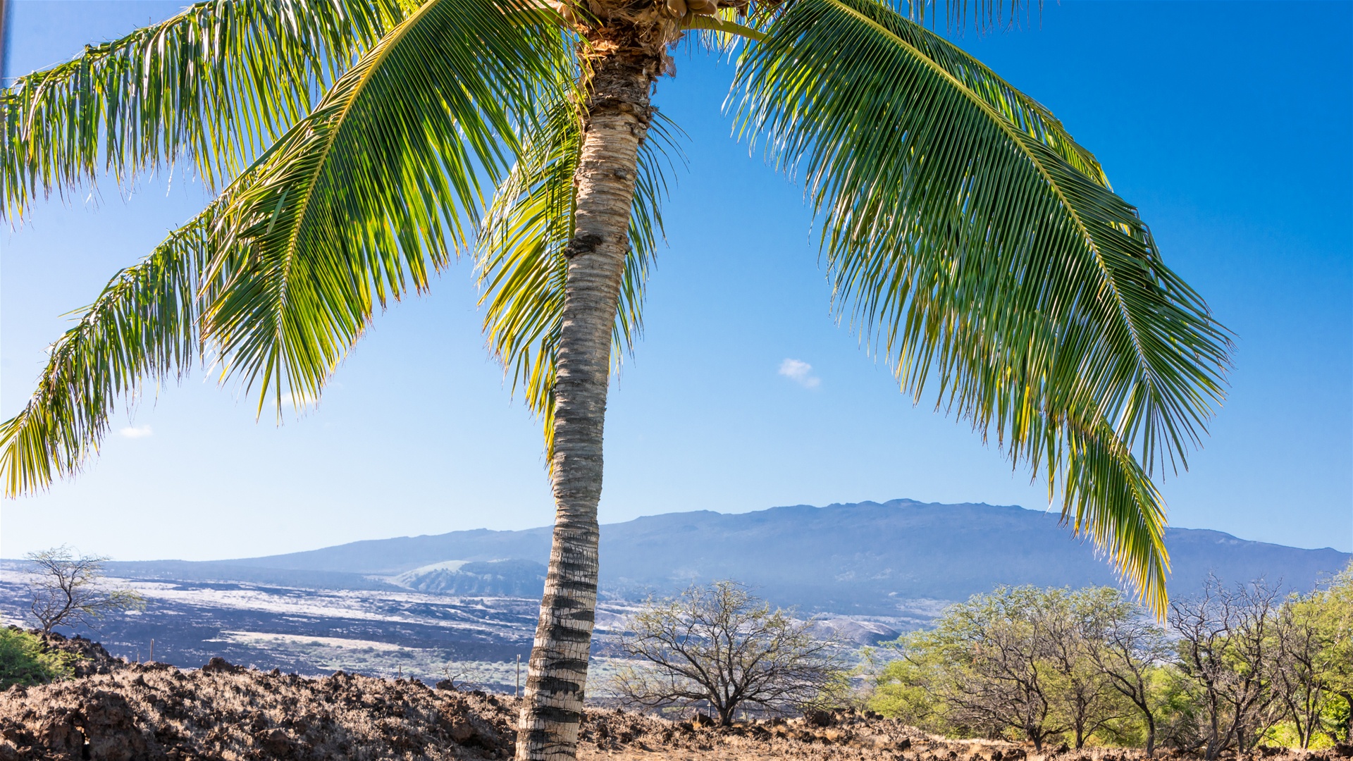 Mauna Lani Area
