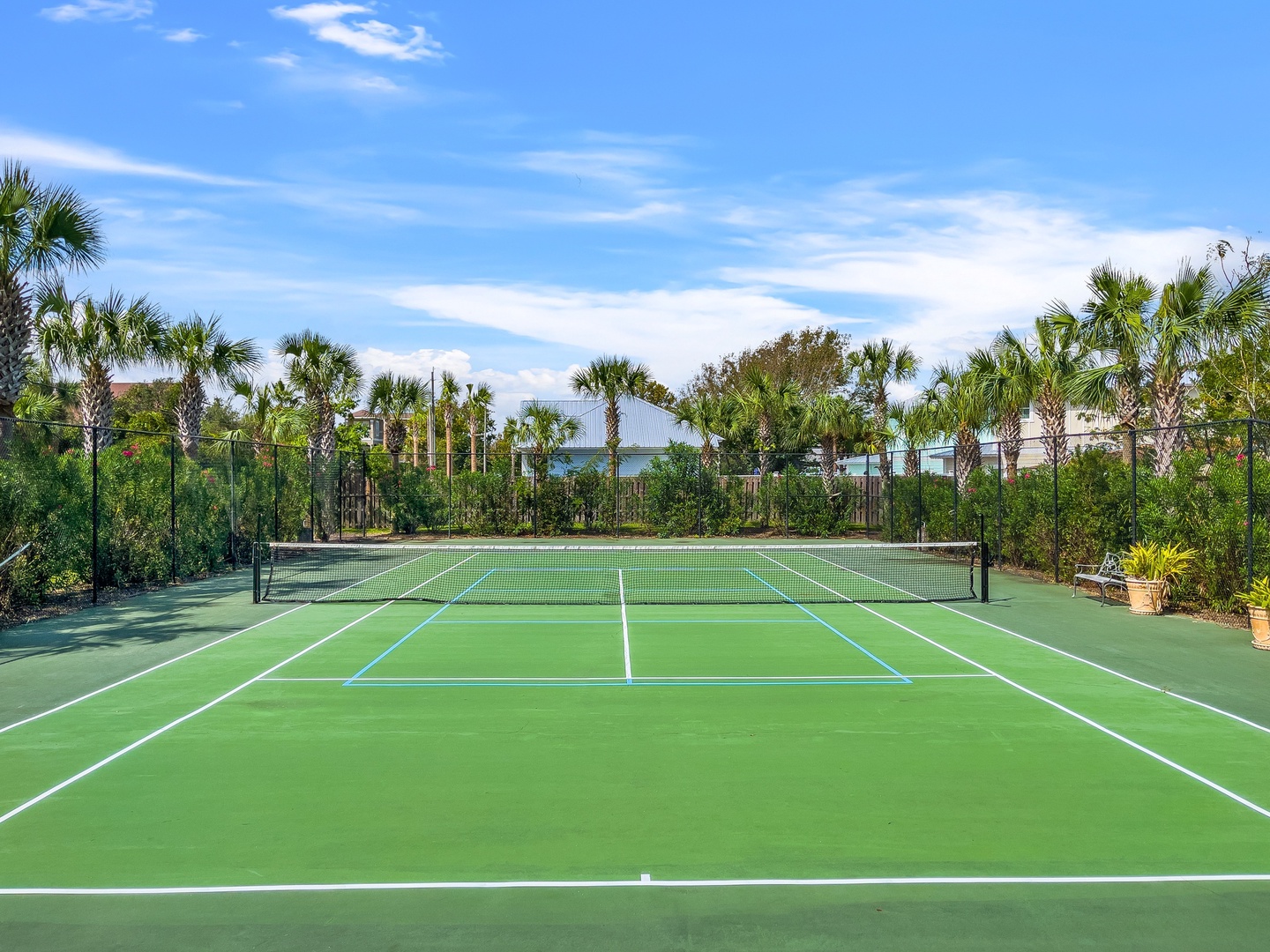 Pickleball Court