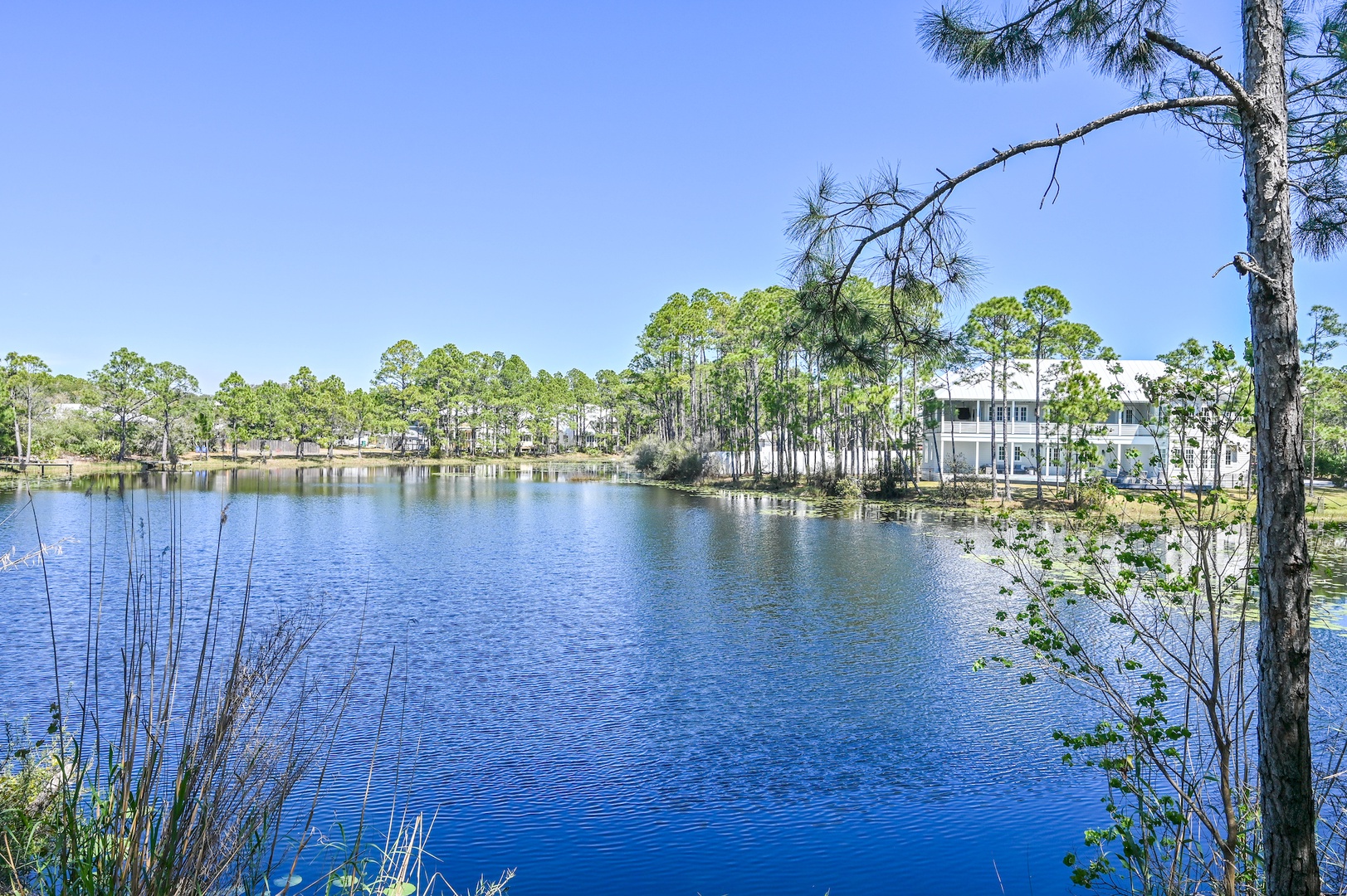 Lake View