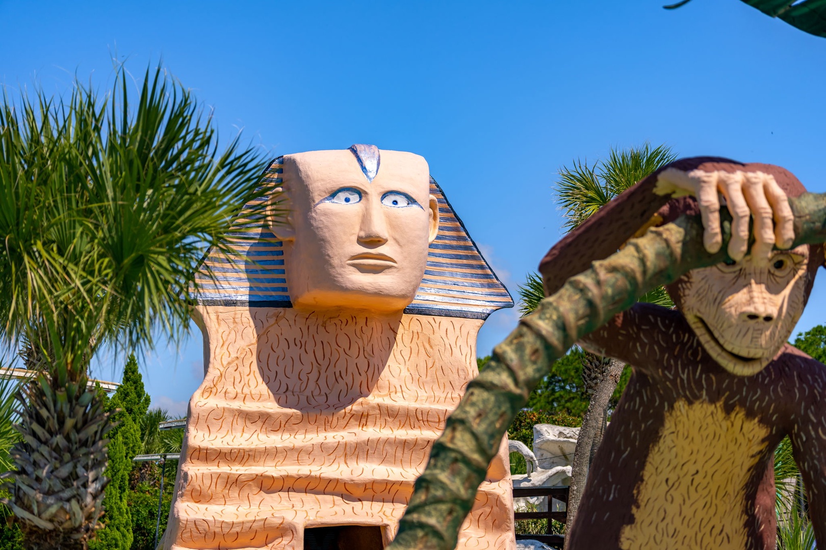 Nearby attractions